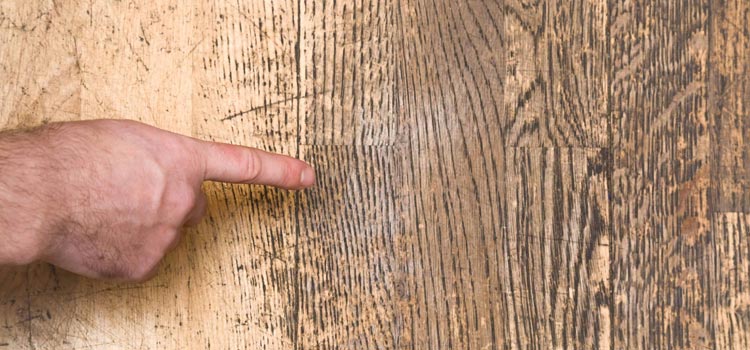 Wood Door Scratch Repair in Miami Gardens